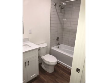 Shower/tub combo